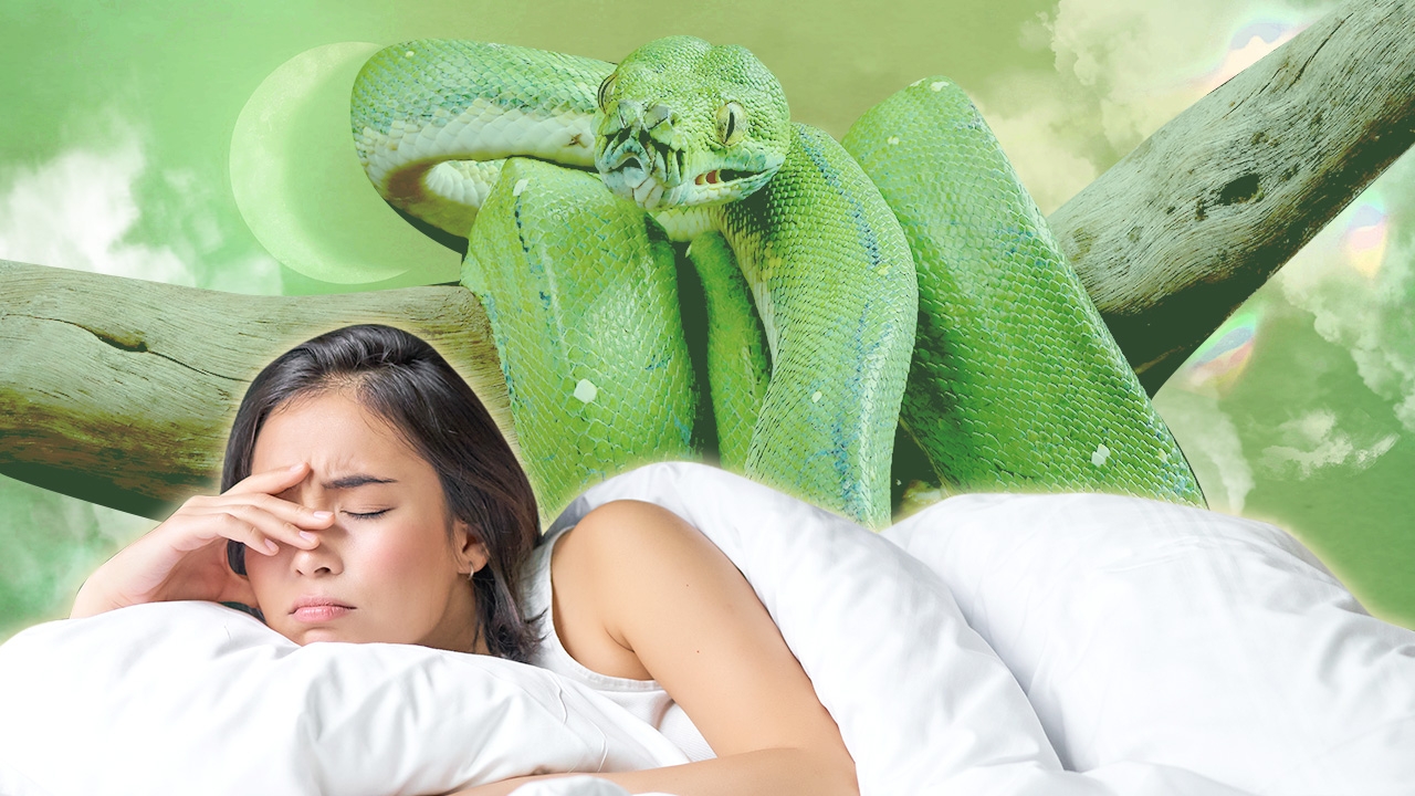 ฝันเห็นงู ทำนายฝันเห็นงู เป็นลางเตือนหรือกำลังมีโชค ฝันเห็นงู โดยแมน การิน