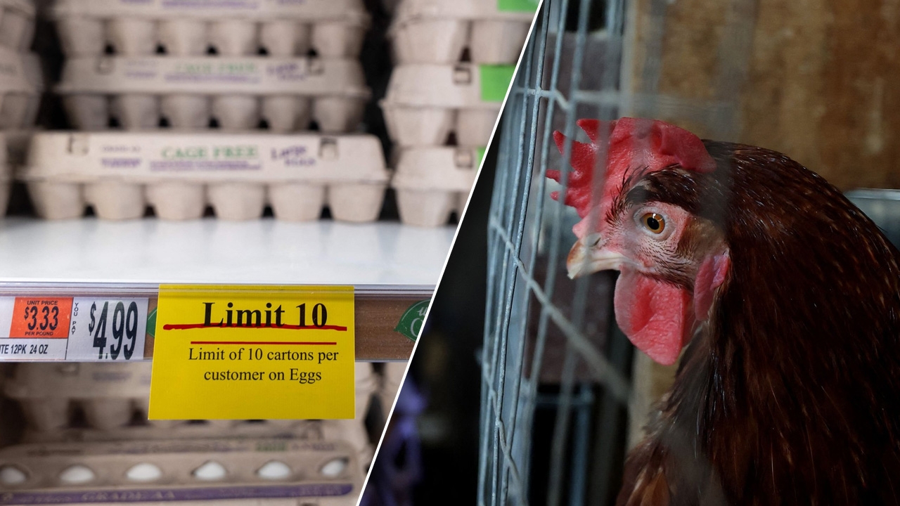 1 พันล้านของรัฐบาลทรัมป์ กับการแก้ปัญหาไข่แพง