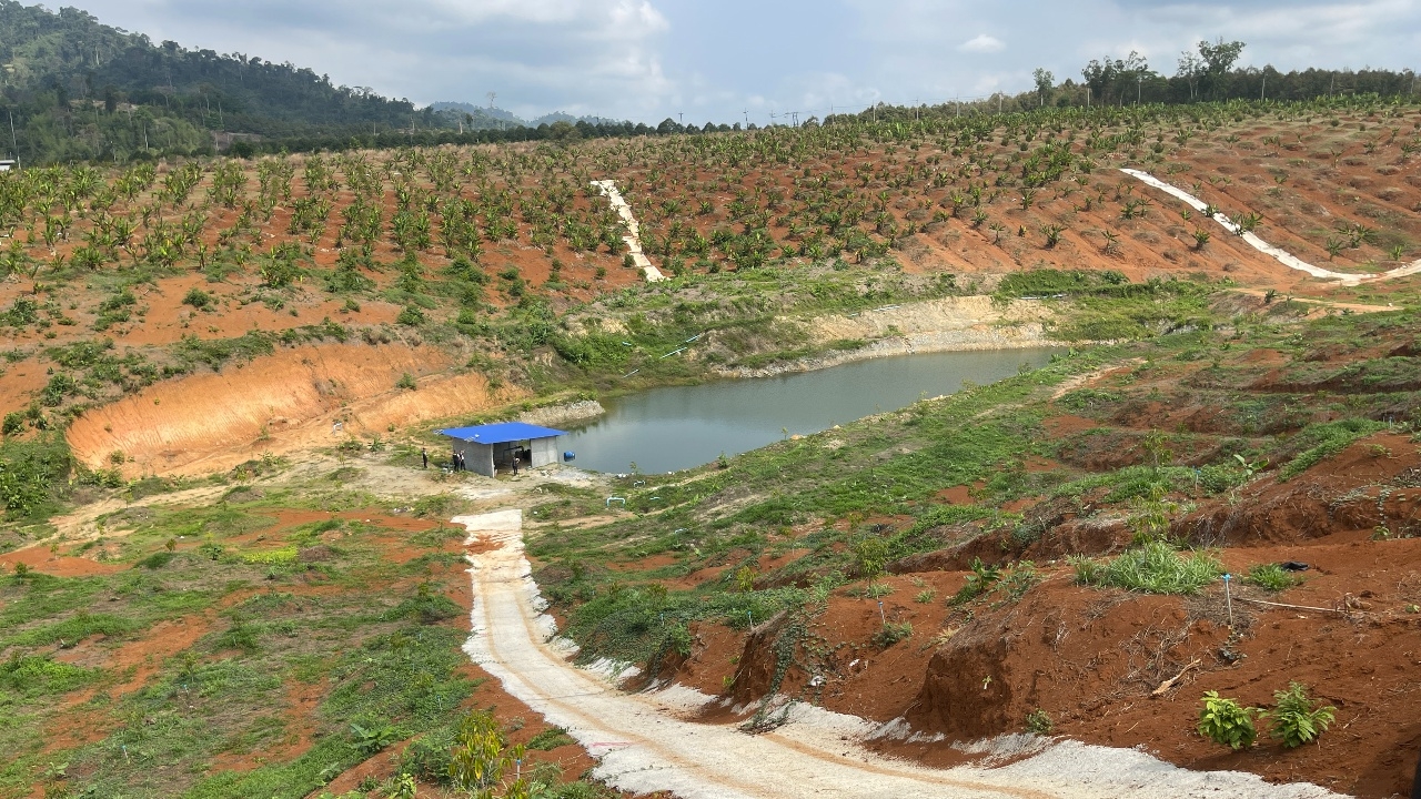 ตรวจยึด "สวนทุเรียน" หลังโดนร้องรุกป่าสงวนฯ 402 ไร่ คาดเกี่ยวกับทุนใหญ่