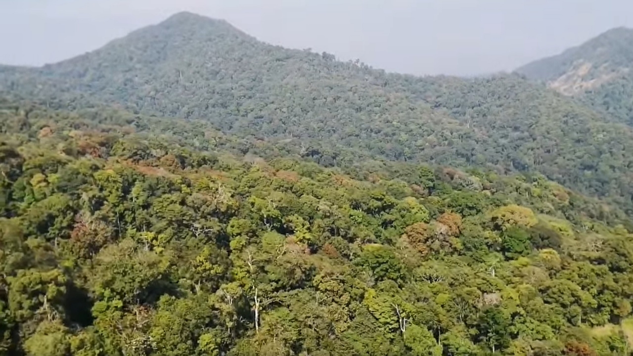 สั่งปิดถาวร "ป่าสลักพระ" จ.กาญจนบุรี หลังพบจุดความร้อนมากกว่าปีที่แล้ว 50%