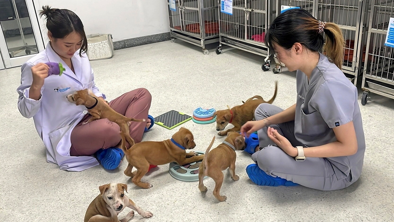 ของว่างวันอาทิตย์ 9 มีนาคม 2568