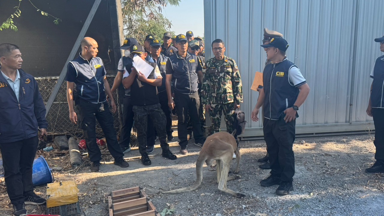 จับอดีตสามี "นางแบบดัง" ลักลอบครอบครองสัตว์ป่าคุ้มครอง สารภาพซื้อมาเลี้ยงเล่น