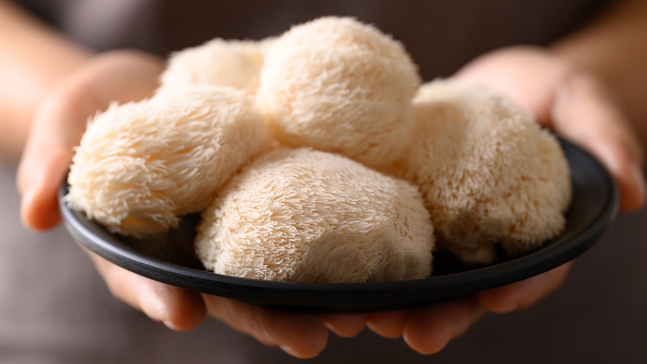 ผลวิจัยพบ “เห็ดบางชนิด” ช่วยลดความเสี่ยงโรคมะเร็งและภาวะสมองเสื่อม