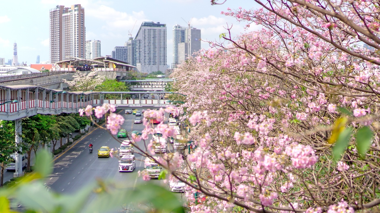ฝุ่น PM 2.5 เช้านี้ หลายจังหวัดภาพรวมดีขึ้น กทม. ไม่เกินค่ามาตรฐาน