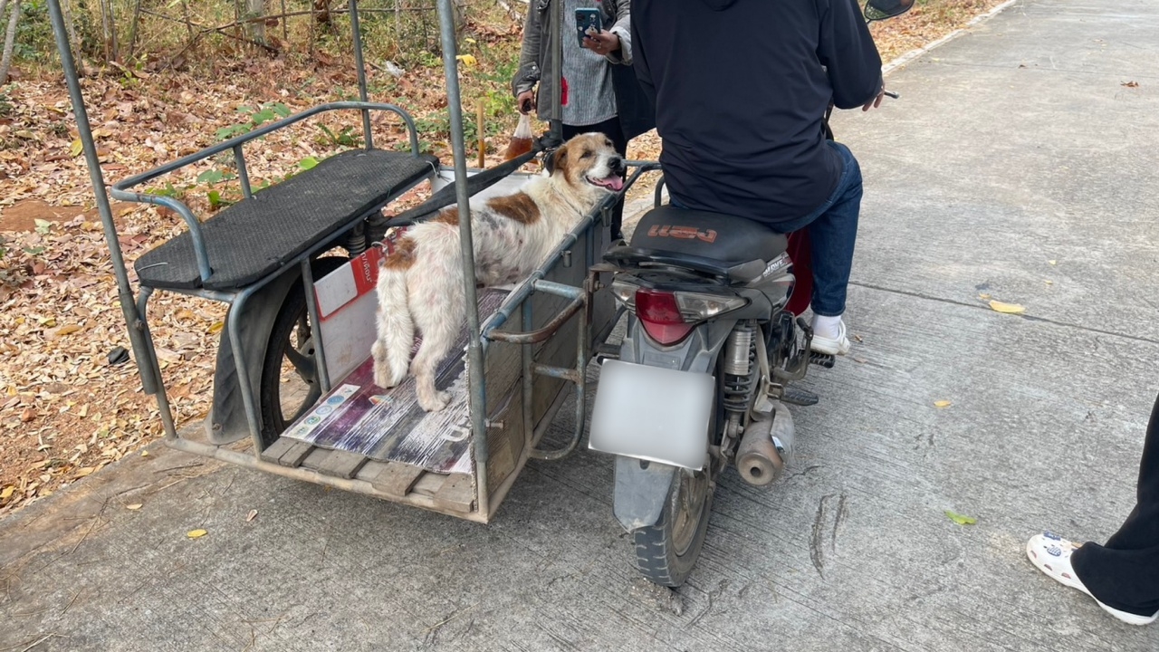 พบแล้ว ชายผูกคอ "สุนัข" ลากไปกับรถซาเล้ง ตำรวจตามคุมตัว เพื่อสอบข้อเท็จจริง