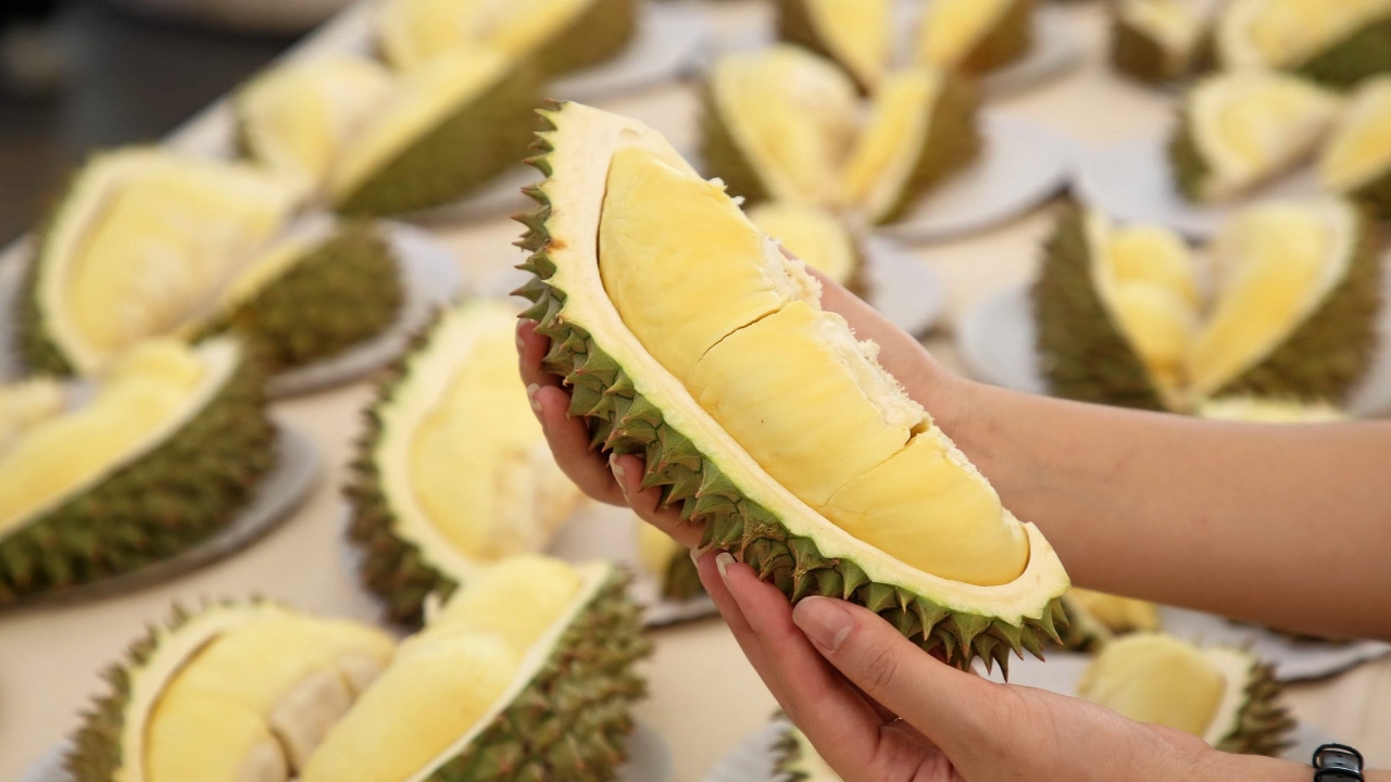 มั่นใจหลัง Set Zero ทุเรียนไทยไร้สารปนเปื้อน คาดปี 68 ครองส่วนแบ่งตลาดในจีน 57%