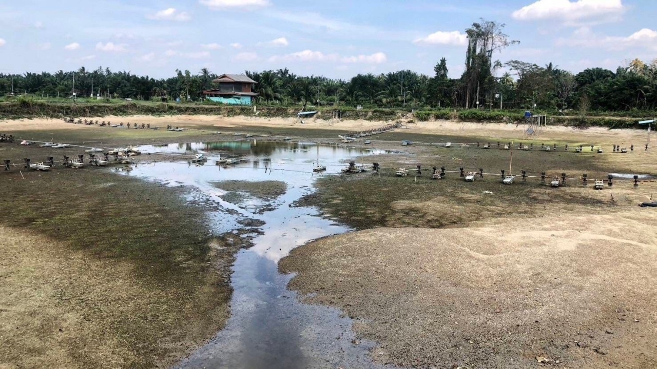 หนุนพลิกฟื้นบ่อกุ้งร้าง เลี้ยงสัตว์น้ำเศรษฐกิจ เพิ่มรายได้ให้เกษตรกร