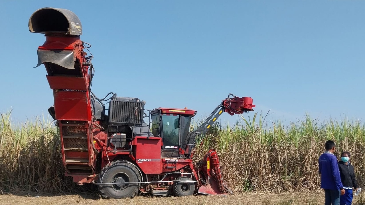 สลด รถตัดอ้อยดูดร่างเด็ก 15 ถูกใบมีดเฉือนเสียชีวิต