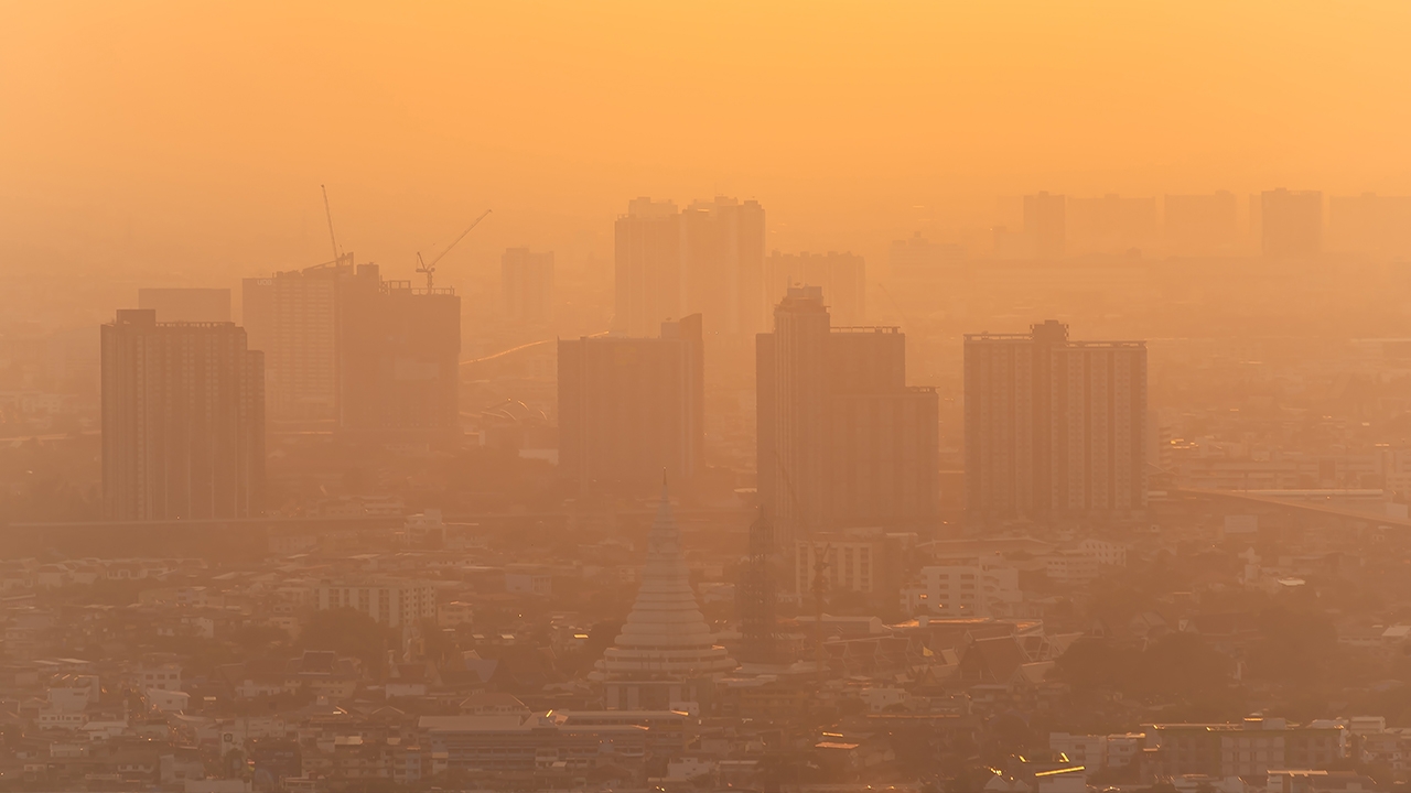 เสนอผุด “มิสเตอร์ฝุ่น” ให้ข้อมูลชาวบ้าน นักวิชาการแนะเพิ่มมูลค่าวัสดุเกษตรลดเผา