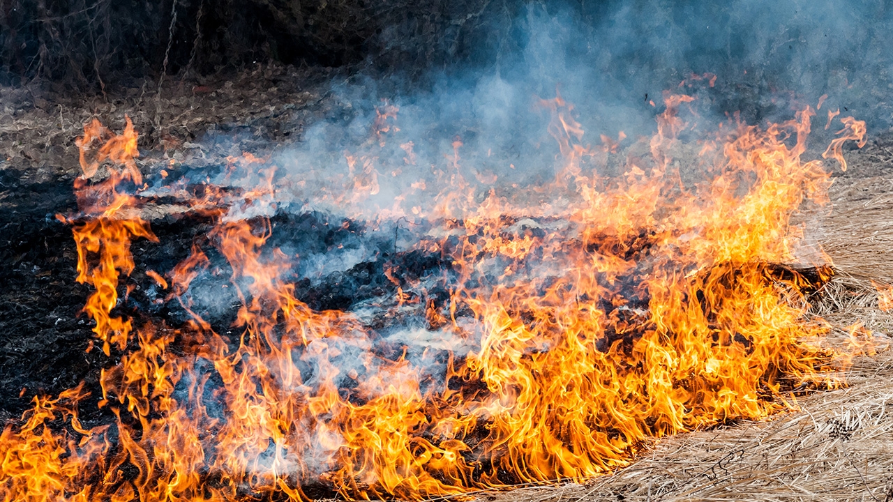 กทม. "จับ-ปรับ" เจ้าของที่ปล่อยเผา จี้สำนักงานเขตสแกนจุดเสี่ยง ปรับ 10 ข้อเสนอส่งรัฐบาล