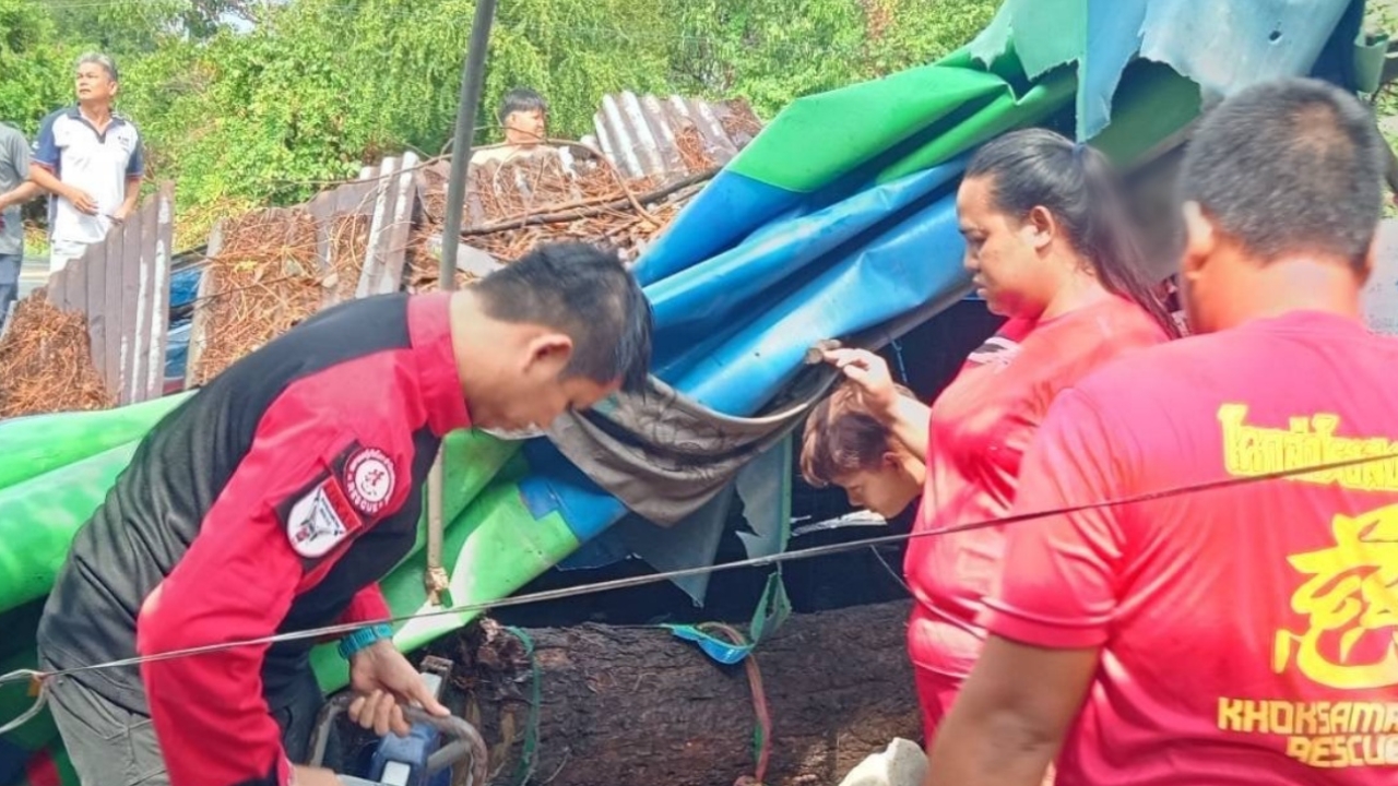 พายุถล่มโคกสำโรง ปู่ผลักหลานรอดจากต้นไม้หักโค่น ส่วนตัวเองโดนทับดับ