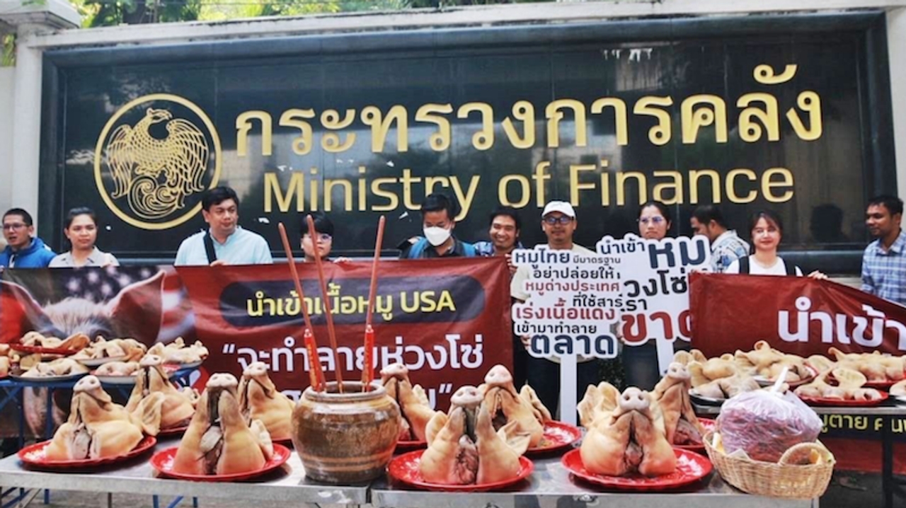 วอนอย่ายัดเยียดหมูมะกันปนเปื้อน