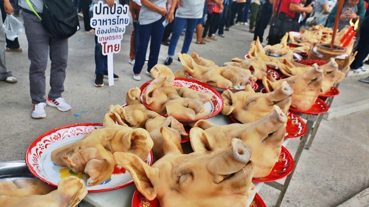 ผู้เลี้ยงสุกรค้านอิมพอร์ตเครื่องในหมูสหรัฐฯ แต่หนุนนำเข้าวัตถุดิบอาหารสัตว์  