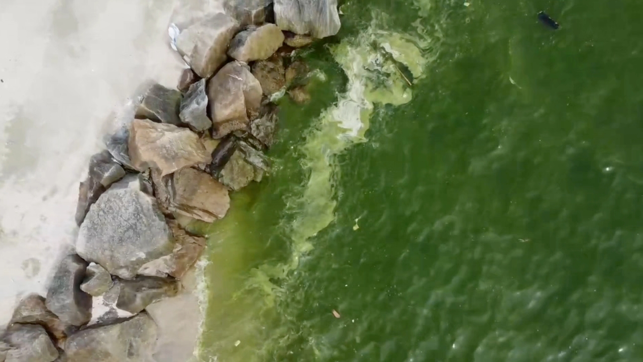 "หาดบางแสน" น้ำทะเลสีเขียวรับสงกรานต์ นักท่องเที่ยวไม่กล้าลงเล่นน้ำ