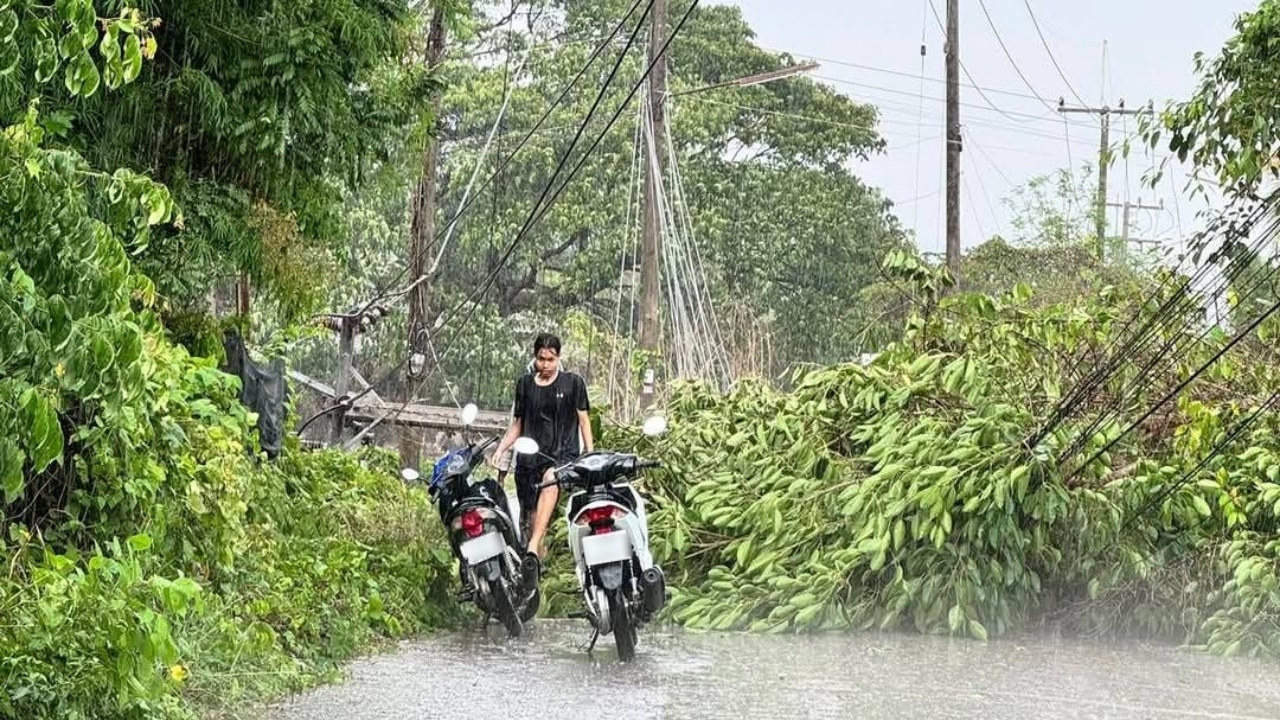 พายุฤดูร้อนถล่มเมืองแม่สอด เจอทั้งลูกเห็บ ต้นไม้ล้ม ไฟฟ้าดับ และน้ำท่วม
