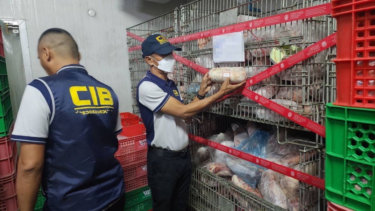 ปคบ. กวาดล้างหมูเถื่อน ยึดซากสุกรเน่า 5 ตัน ต้นเหตุหมูแพง เสี่ยงโรคระบาด