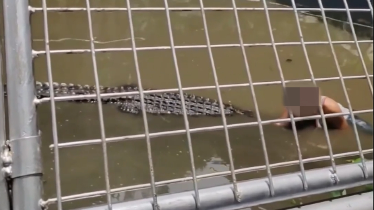 หนุ่มฟิลิปปินส์กระโดดลงบ่อจระเข้ถ่ายเซลฟี่ อ้างนึกว่ารูปปั้น