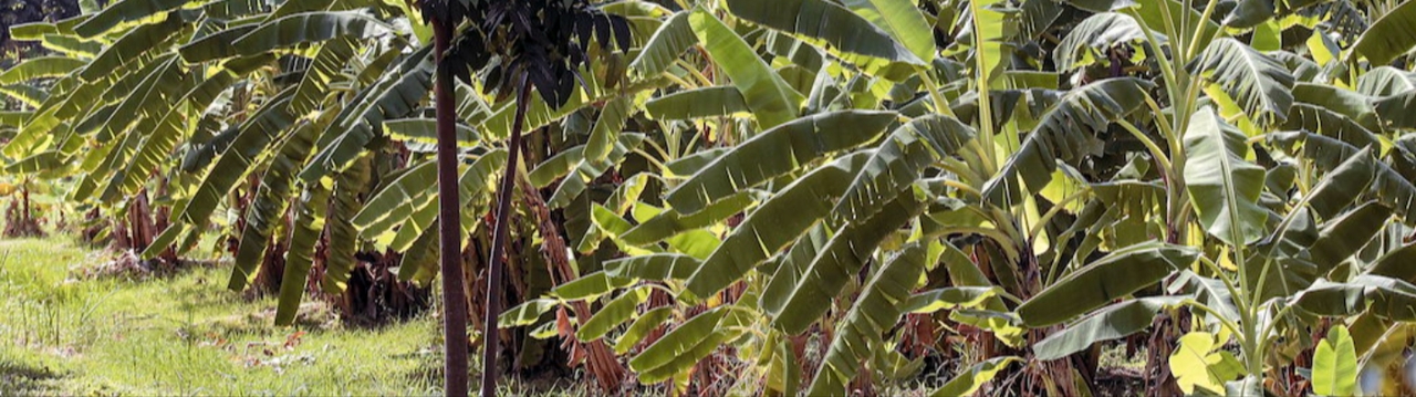 ธนารักษ์เตรียมขึ้นค่าเช่าที่ราชพัสดุปีหน้า ลุยพัฒนาที่ดิน 1 ล้านไร่หวังเพิ่มรายได้ 20%