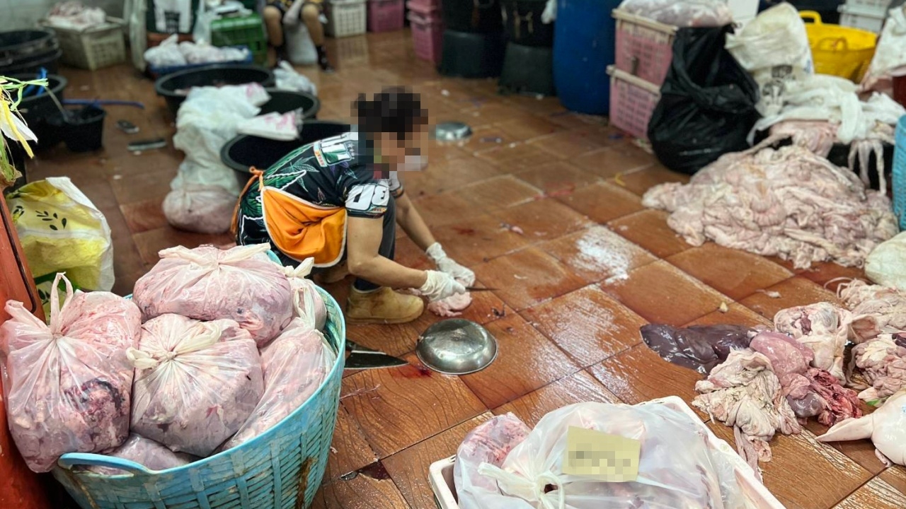 บุกค้นโรงชำแหละ "หมู" กลางกรุงฯ ส่งกลิ่นรุนแรง พบซากเถื่อนเกือบ 2 ตัน