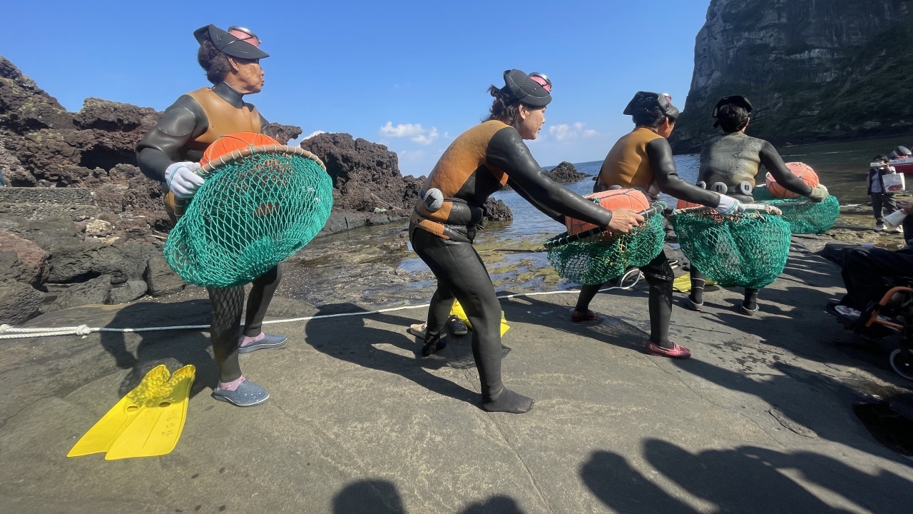 ผลศึกษาชี้ "แฮนยอ" นักดำน้ำหญิงแห่งเกาะเชจู อาจพัฒนายีนพิเศษ ช่วยดำน้ำได้นาน