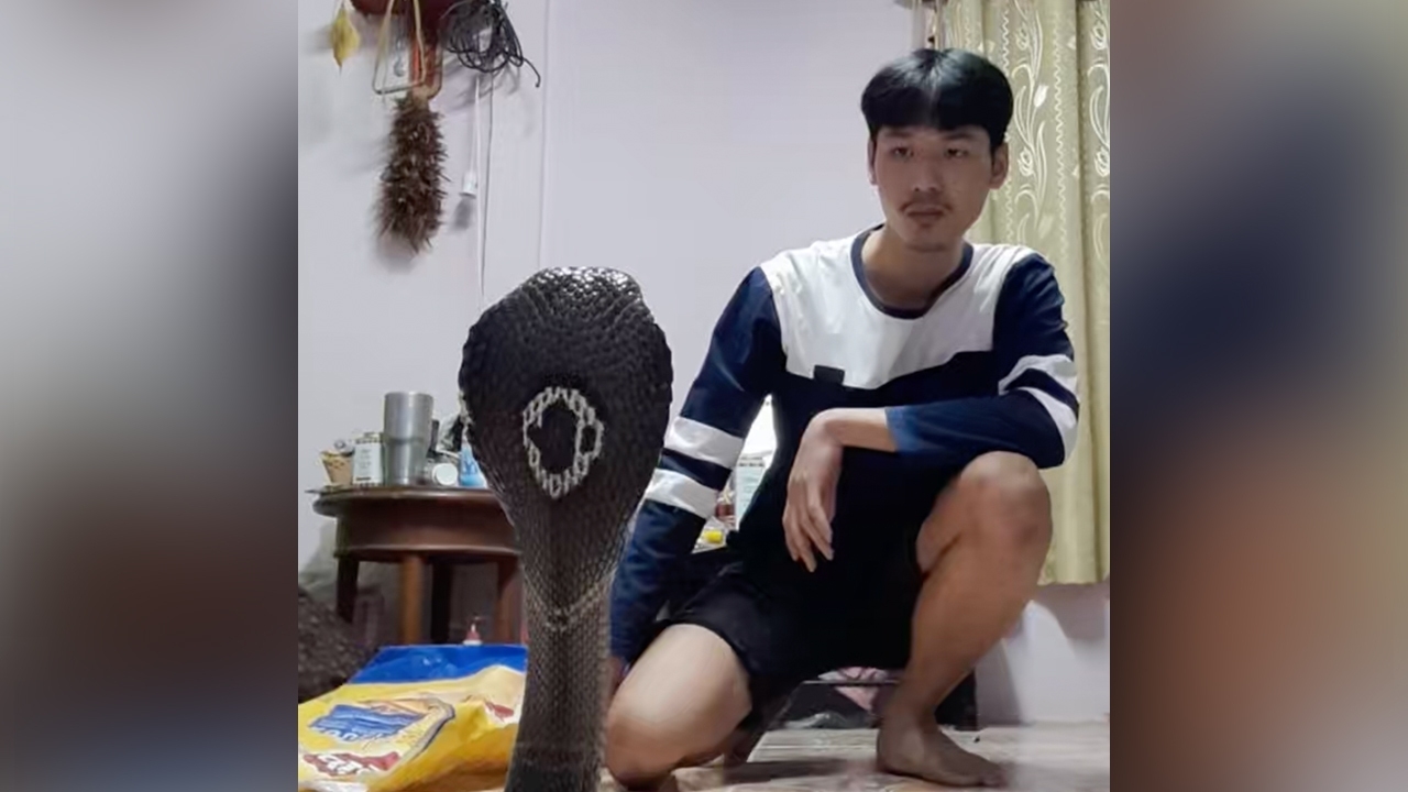 เปิดใจ "หนุ่มใจบุญ" มักเก็บ "งู" ข้างถนนมาเลี้ยง ก่อนปล่อยคืนสู่ธรรมชาติ