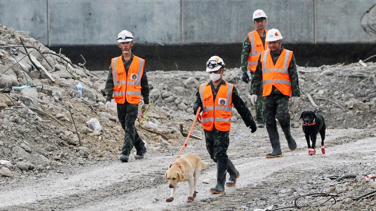 K9 ค้นเศษซากสตง. กองหลังศาล ทีม “5 สถาบัน” ถกหาสาเหตุ! ไม่นานจะรู้ผล