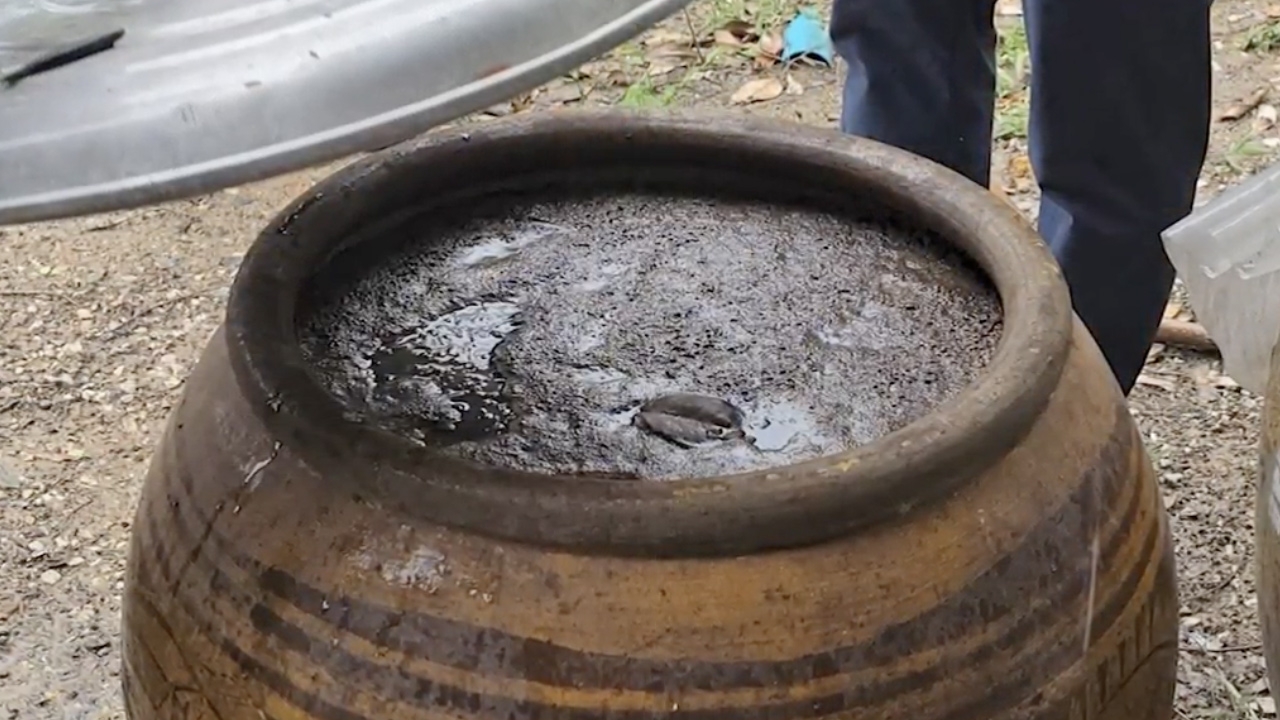 ฉีดยาสมุนไพรเข้าเส้น หมอชี้เสี่ยงติดเชื้อ ไตวายเฉียบพลัน 