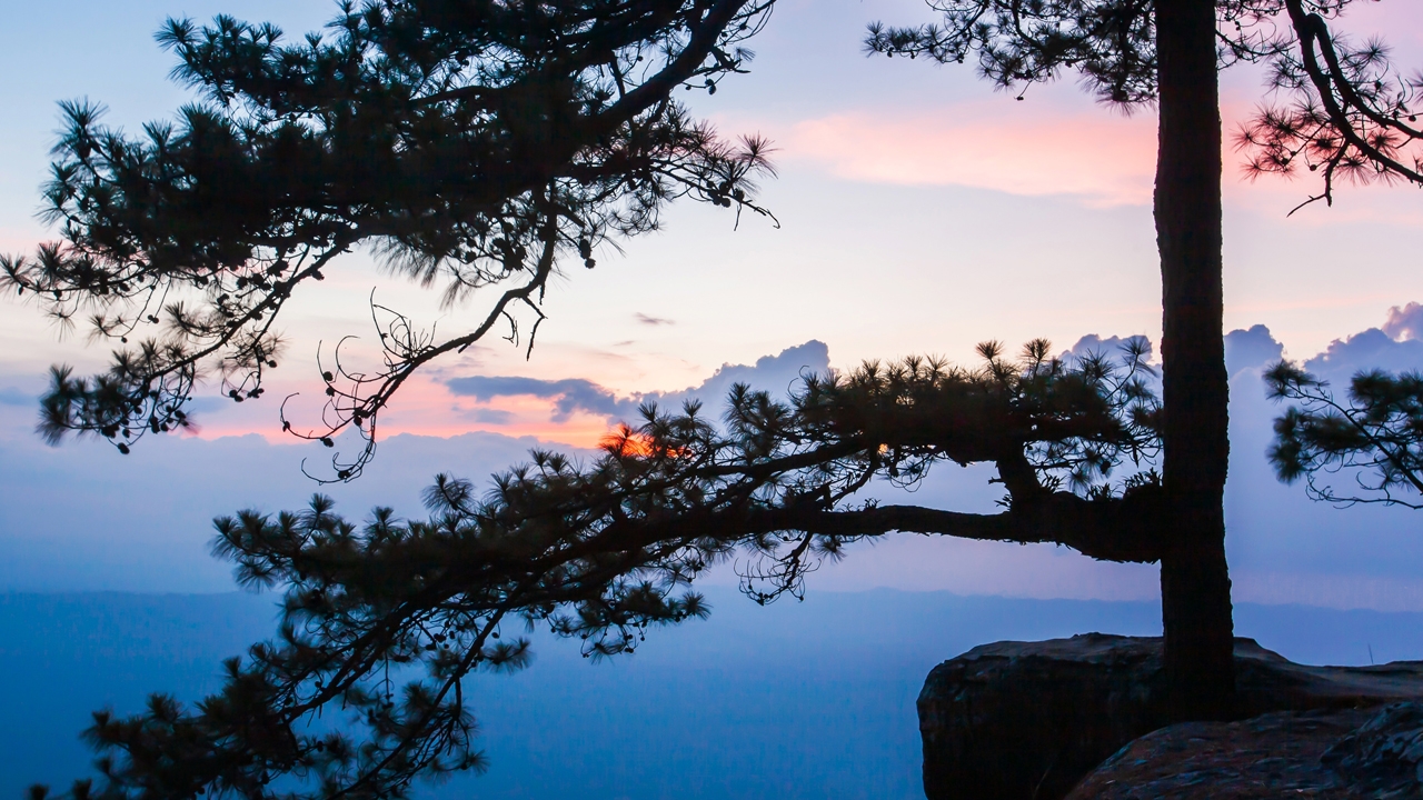อพท.เดินหน้าสร้าง กระเช้าขึ้น “ภูกระดึง” ใช้เทคโนโลยียุโรป