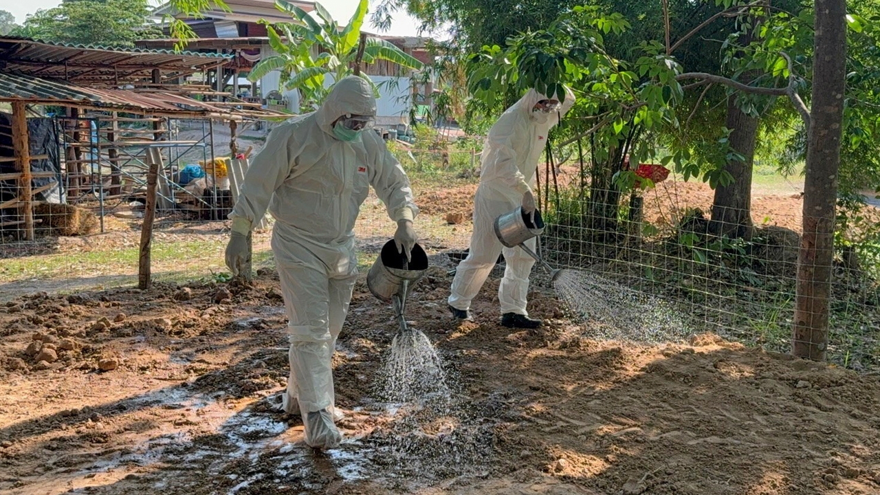 เจอป่วยอีก 1 "แอนแทรกซ์" พื้นที่ จ.มุกดาหาร รมว.สาธารณสุข ขยายเวลาสังเกตอาการ 60 วัน