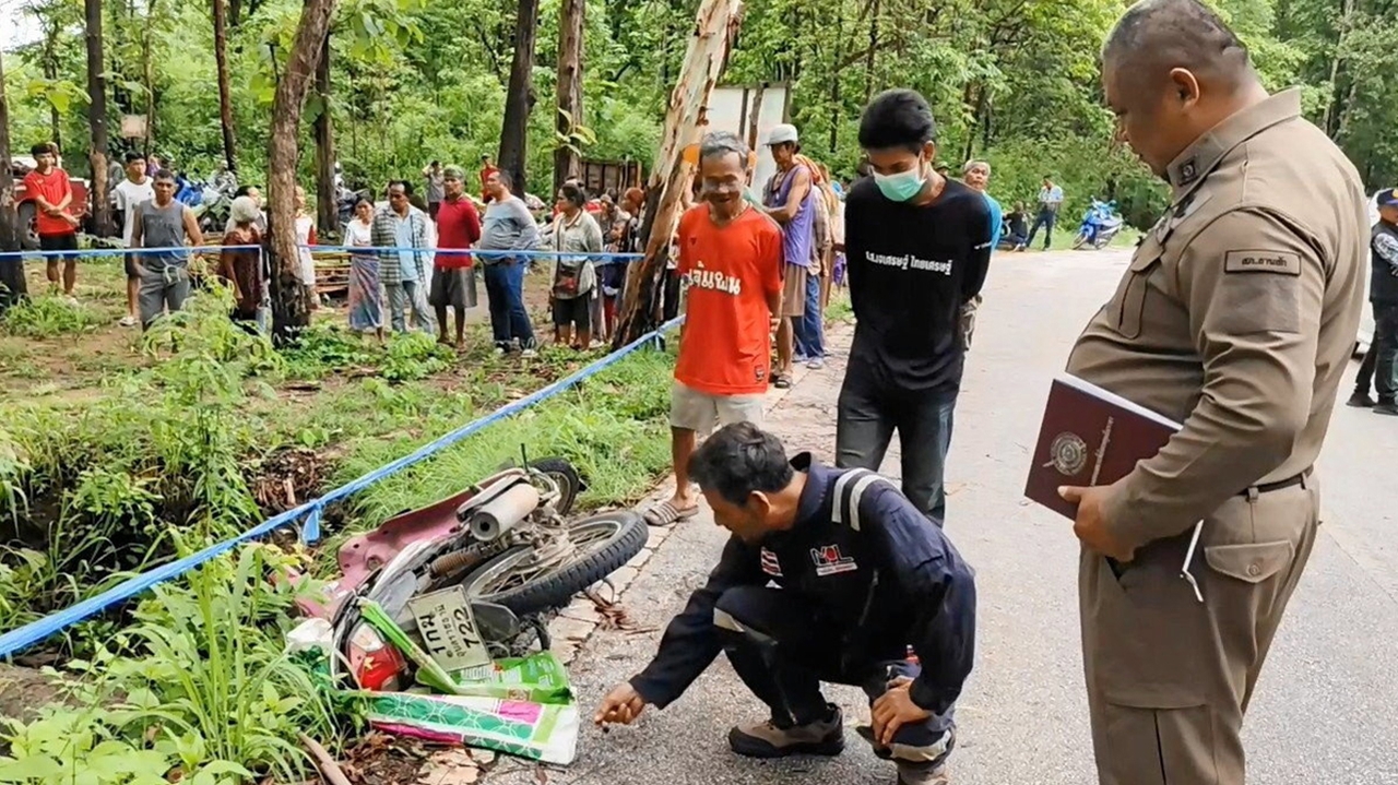 ช้างทำร้าย