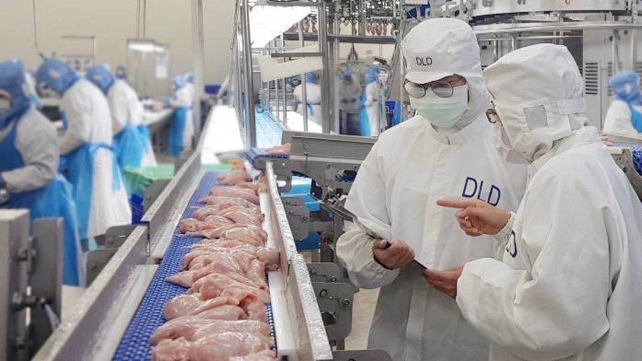 ไทยลุ้นส่งออกไก่พุ่ง! หลังบราซิลเจอไข้หวัดนก กรมปศุสัตว์ย้ำระบบป้องกันโรคแน่นหนา