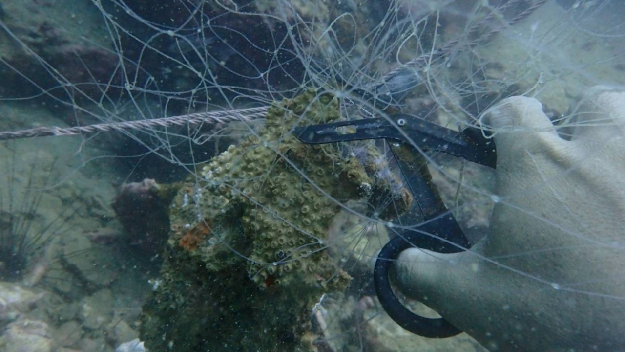 นักท่องเที่ยวดำน้ำเกาะดังชุมพร เจออวนประมงทำแนวปะการังเสียหายจำนวนมาก