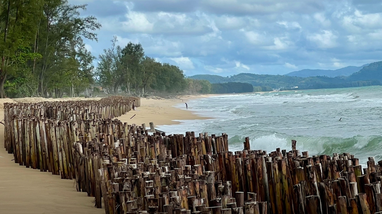 กรมอุทยานโชว์คืบหน้า 80% ปักรั้วไม้ดักทราย ป้องกันปัญหากัดเซาะชายฝั่งรุนแรง คาดเสร็จสิ้น ส.ค.นี้