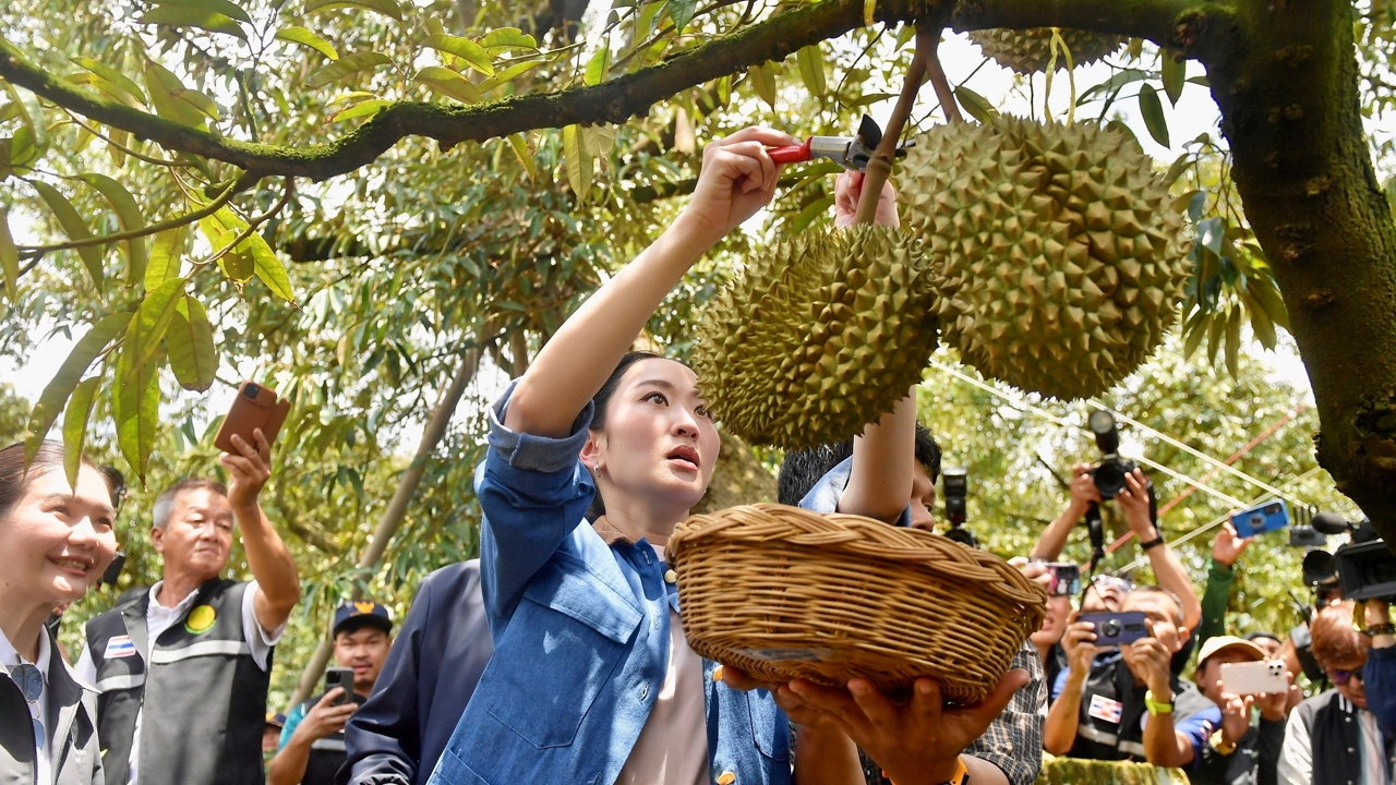 นายกฯอิ๊งค์ ทัวร์เมืองจันท์ โปรโมตผลไม้ กําชับพ่อเมืองจันทบุรี แก้ปัญหา “ขนส่ง” ล่าช้า