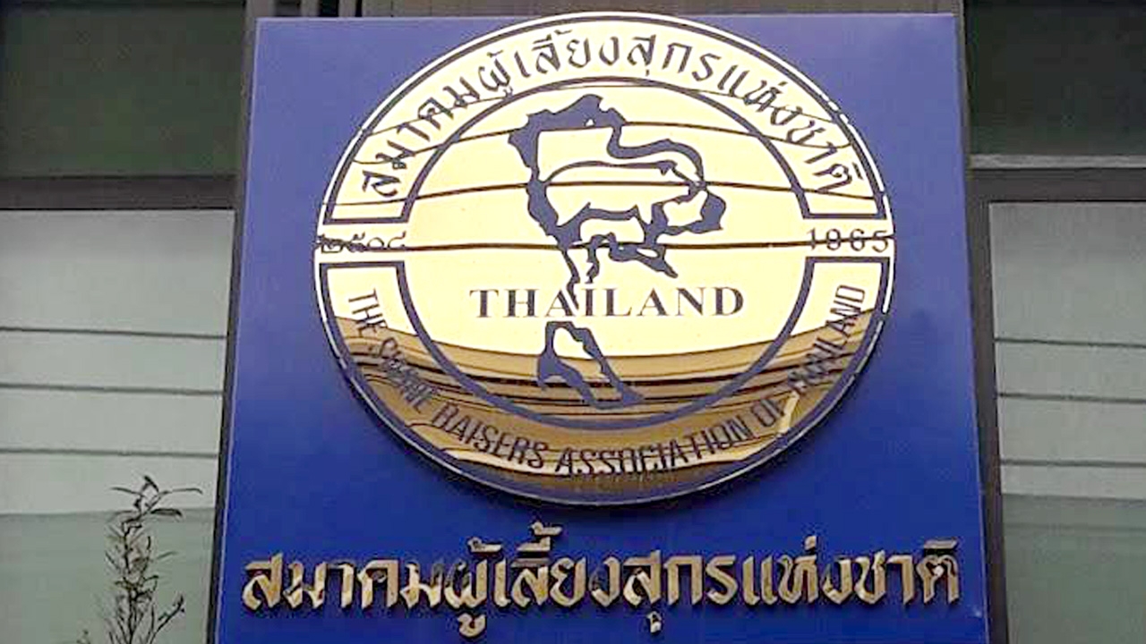 เกษตรกรค้านแนวคิดนำเข้าเนื้อหมูสหรัฐ เสี่ยงกระทบวงจรเลี้ยงหมูพังทั้งประเทศ