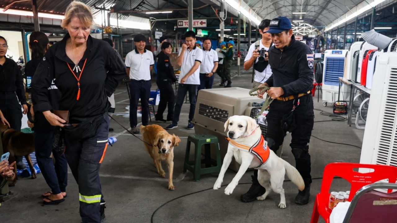 เปิดเหตุผล ถอนกำลังทีม "สุนัข K9" เพื่อความปลอดภัย ผอ. ยันทุกตัวไม่มีบาดเจ็บ