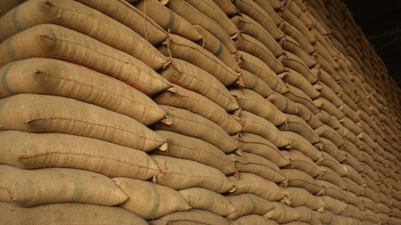 เปิดเบื้องหลังขายข้าวแอฟริกาใต้ พาณิชย์สร้างเชื่อมั่นคุณภาพทำซื้อเพิ่มรวม 4 แสนตัน