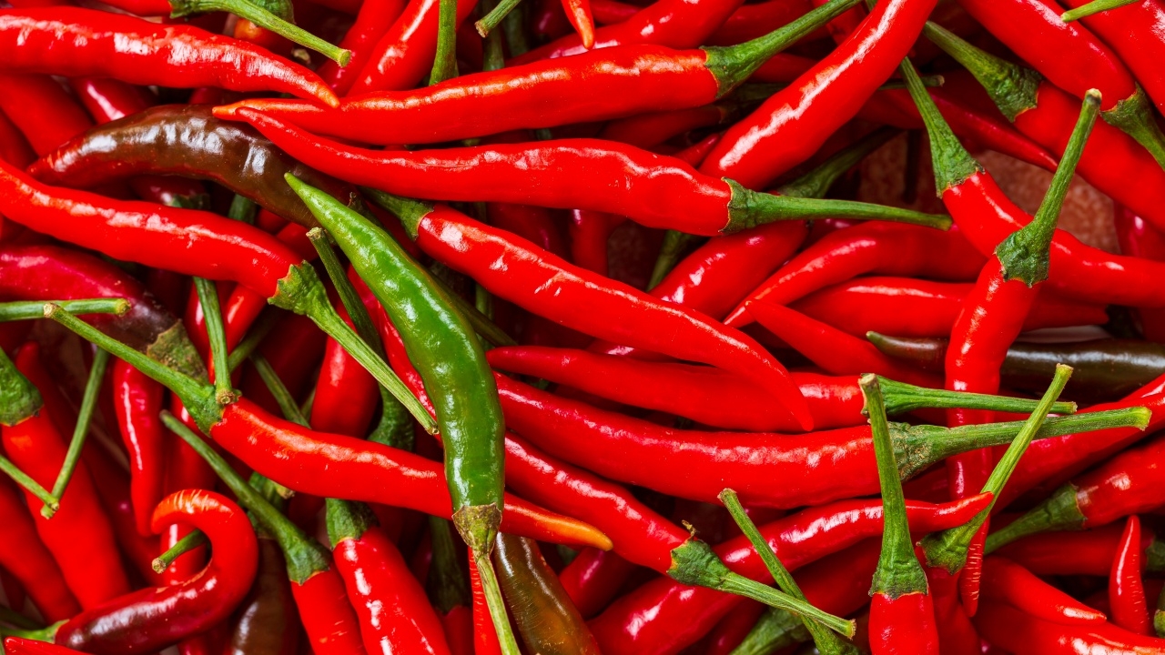 อดีตรองอธิบดีราชทัณฑ์ เล่าเรื่องเจ็บใจ สตง. เคยขอตรวจขนาดพริกทำอาหาร