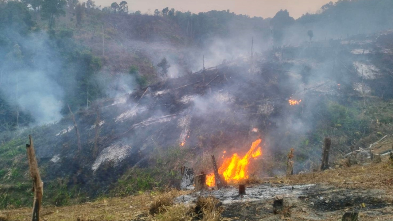 เชียงใหม่จมฝุ่น ติดอันดับ 3 ของโลก ไฟไหม้ป่ายังลามหนัก กระจายกว่า 150 จุด
