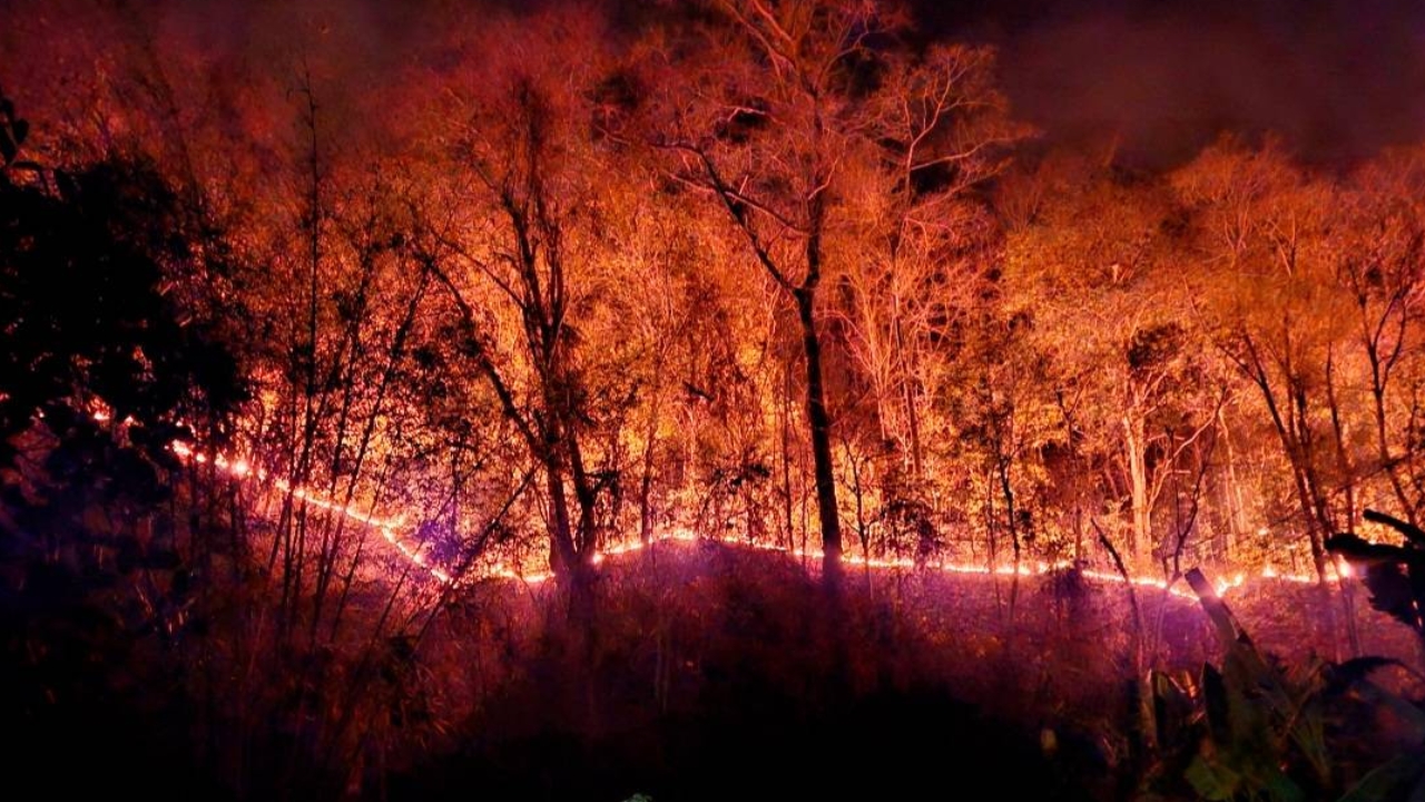 "ไฟป่าแม่ฮ่องสอน" ยังรุนแรงต่อเนื่อง ส่งเฮลิคอปเตอร์ช่วยจุดเสี่ยงเขาสูงชัน