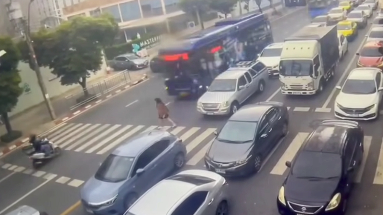 สั่งพักงานคนขับรถเมล์ หลังวิ่งย้อนศรชนนักศึกษาสาวข้ามทางม้าลายบาดเจ็บ