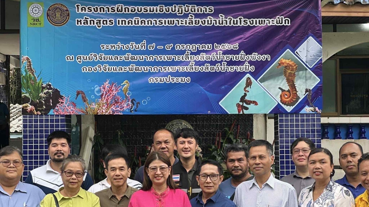 กรมประมงอบรมเทคนิคเพาะเลี้ยงม้าน้ำหวังปูทางสู่สัตว์น้ำเศรษฐกิจหลังกฎหมายรองรับ