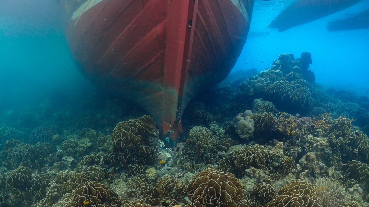 เปิดภาพความยับเยิน แนวปะการังหมู่เกาะสุรินทร์ หลังเรือเมียนมาเกยตื้น