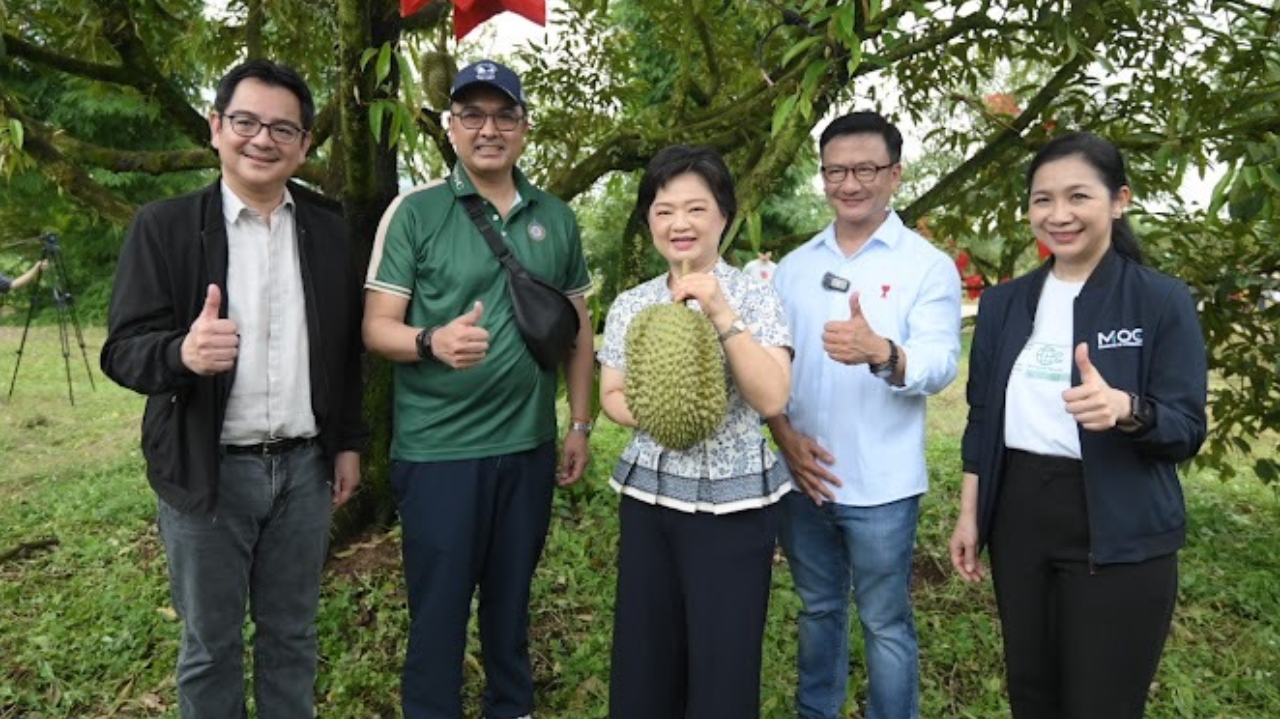 ดันส่งออกทุเรียนทะลุ 9 แสนตัน
