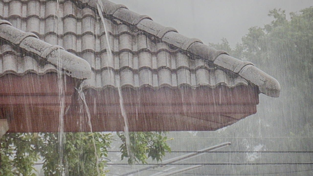 เตือนพายุโซนร้อน "หวู่ติบ" ไม่เคลื่อนเข้าไทย แต่กระทบ "ฝนตกหนักมาก" บางแห่ง