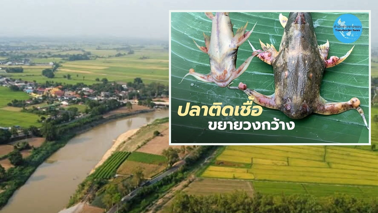 สารพิษ!แม่นํ้ากก ภัยเงียบที่มองไม่เห็น