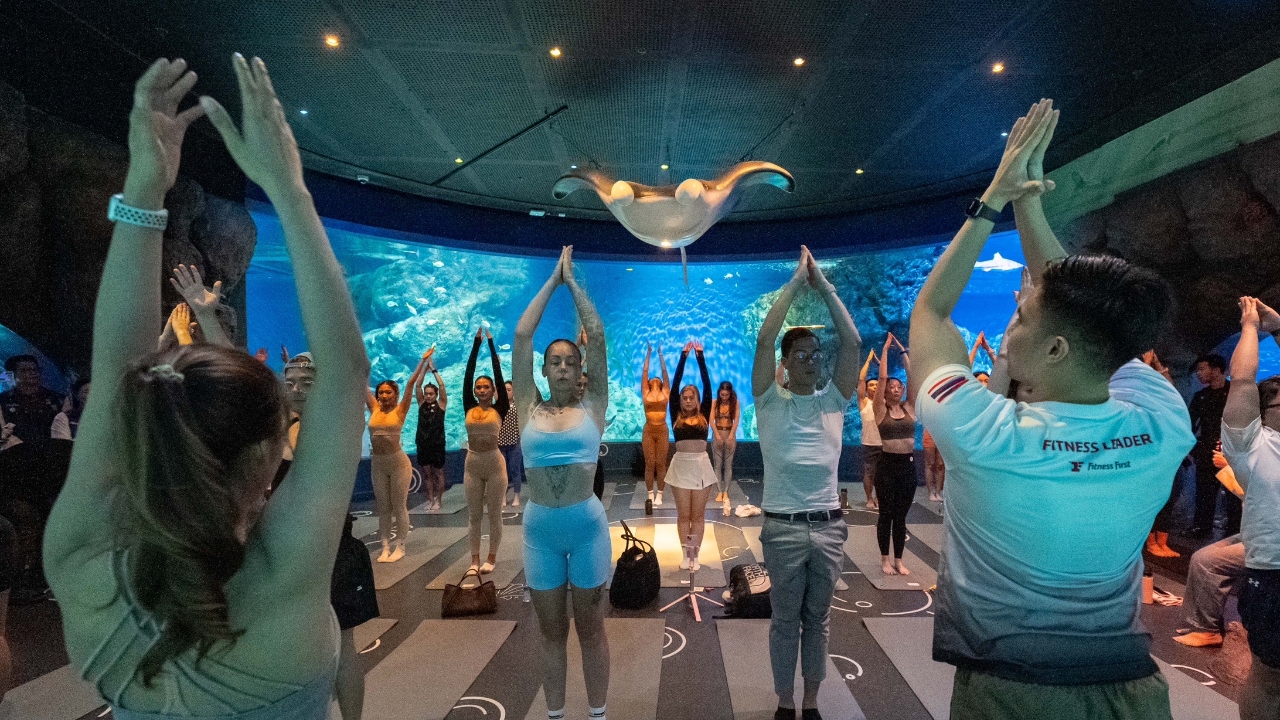 ฮีลกาย และใจใต้ทะเลลึกกับ "Aquarium Yoga" ประสบการณ์ใหม่ ดื่มด่ำความสุขสไตล์ Health and Wellness