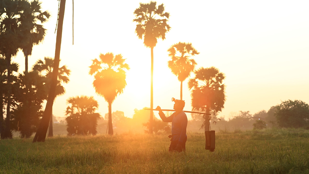 ฟื้นฟูเกษตรกรไทย: กุญแจสู่เศรษฐกิจที่ยั่งยืน