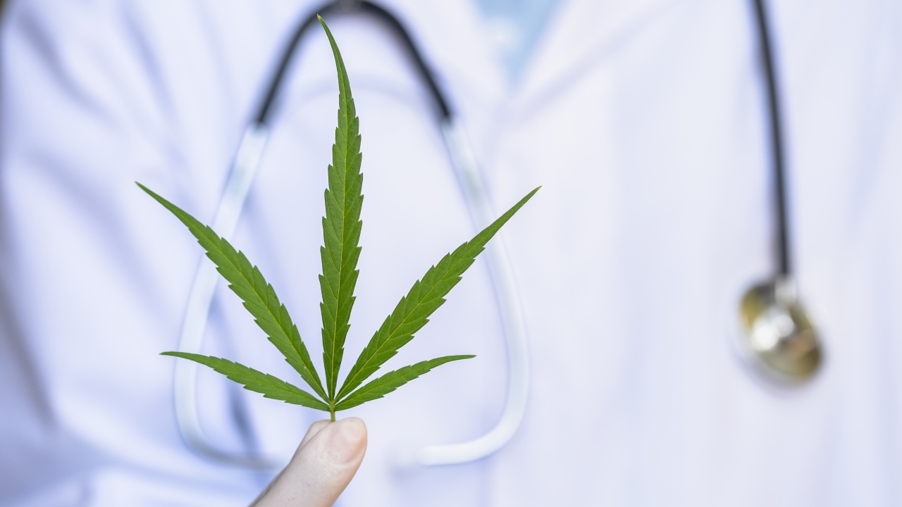 ไม่เสรีอีกต่อไป สธ. ประกาศควบคุม "กัญชา" ต้องมีใบอนุญาต ใช้ทางการแพทย์เท่านั้น