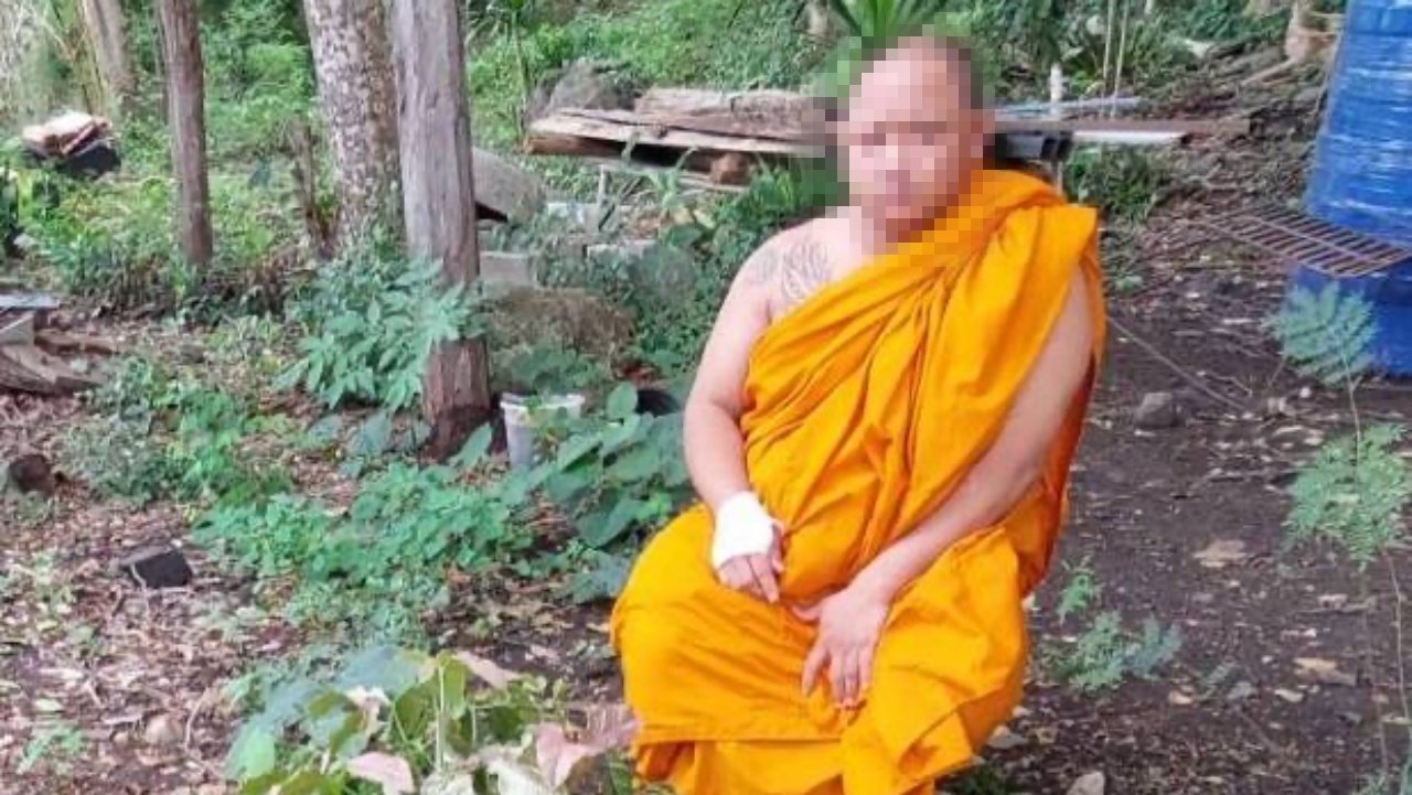 พระแจงดราม่าตีลิงตาย ถูกนับสิบตัวเข้ามารุม-กัดมือ คว้าไม้กวาดตีป้องกันตัว